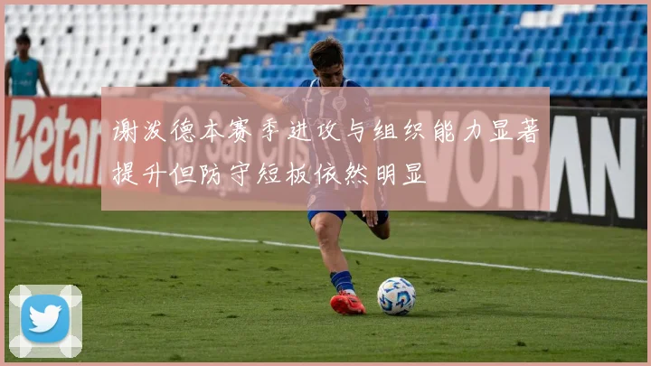 谢泼德本赛季进攻与组织能力显著提升但防守短板依然明显